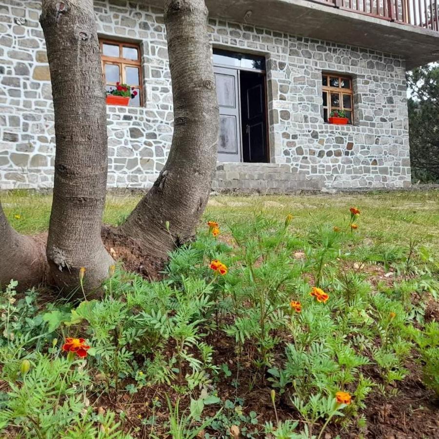 Hotel Grabova Grabove e Siperme 외부 사진